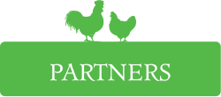 partners